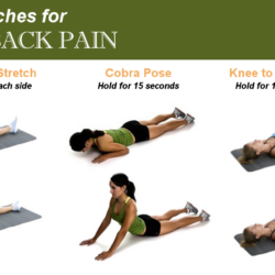 Stretches exercises relieve relief stretching chronic reduce strengthening muscles